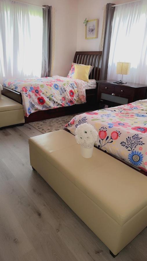 Вілла Miami Parkview Getaway Екстер'єр фото